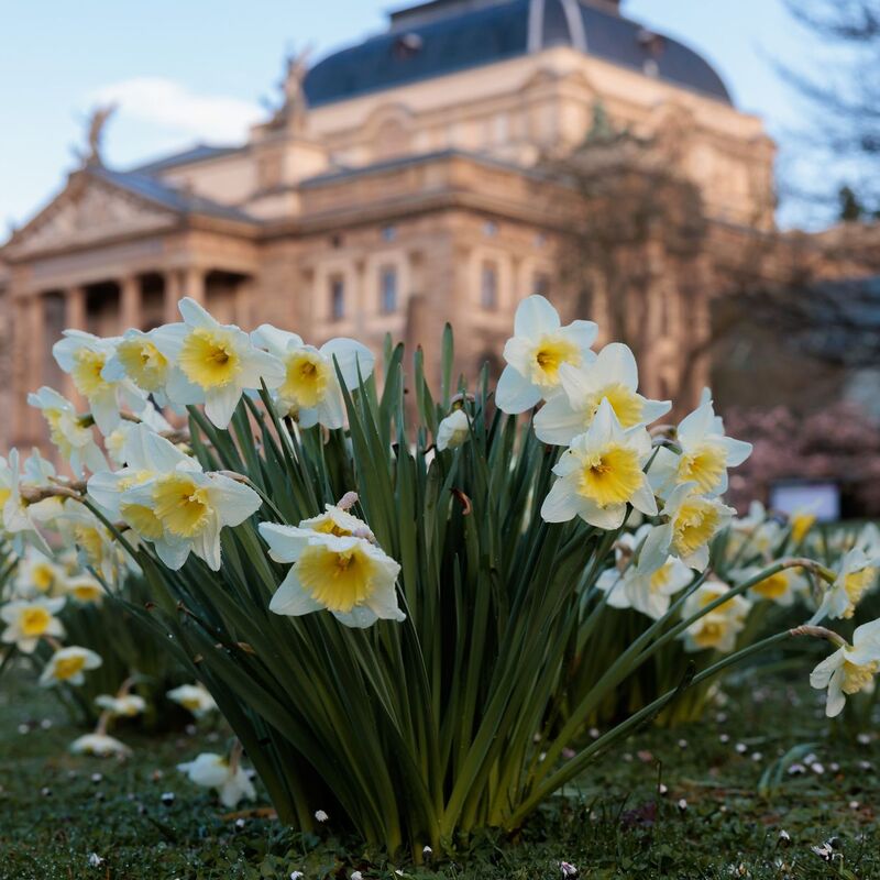 Das Wetter wird erstmal ruhiger. (Archivbild) - Foto: Jörg Halisch/dpa