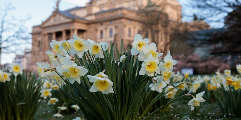 Temperaturen bis zu 18 Grad erwartet der Wetterdienst in den kommenden Tagen. - Foto: Jörg Halisch/dpa