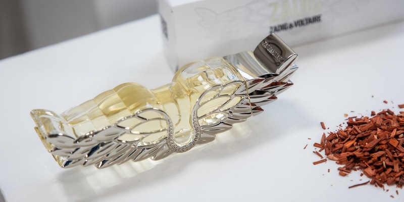 Seven.One AdFactory gewinnt Zadig&Voltaire als Digitalsponsor für Germany's Next Topmodel Stories - und verleiht der Brand auch im TV himmlische Strahlkraft - Foto: ProSieben/Benedikt Müller, presseportal.de