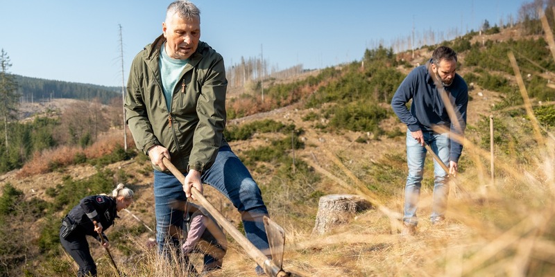 POL-BS: Gemeinsam für den Harz: Über 7.950 Euro ermöglichen erste Sandbirken- und Ahorn-Pflanzungen - Foto: presseportal.de