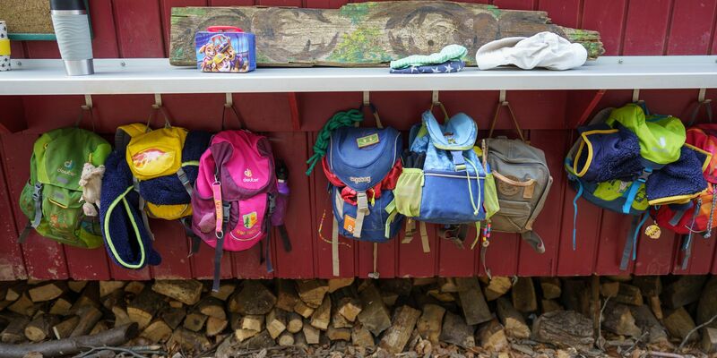 Laut Umfrage unter Kitaleitungen erschweren mehrere Faktoren eine Natur-Bildung der Jüngsten. (Symbolbild)  - Foto: Frank Rumpenhorst/dpa