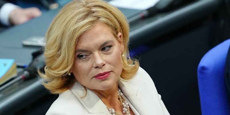 Im neuen Bundestag ist die Union vor der AfD zweitstärkste Kraft.  - Foto: Kay Nietfeld/dpa