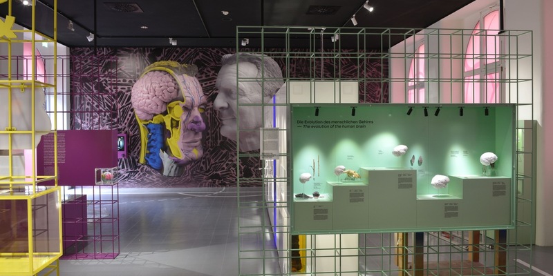 Von Nerven, Sinnen ... und Charly Körbel. Neue Dauerausstellung über die Geheimnisse der Gehirne von Menschen und Tieren ab dem 26.03.2025 im Senckenberg Forschungsinstitut und Naturmuseum Frankfurt - Foto: presseportal.de