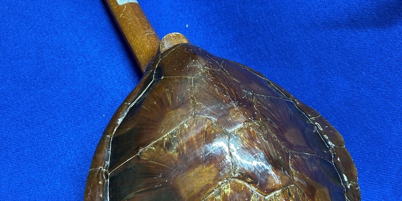 HZA-RO: 05. April 2025: Tag der Ausbildung beim Hauptzollamt Rosenheim / ZOLL wirbt für die Ausbildung im mittleren Dienst und für das Duale Studium zum Bachelor of Laws - Foto: presseportal.de