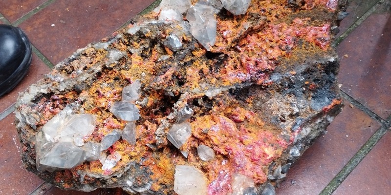 POL-LB: Leonberg: als giftig eingestufte Minerale in Waldstück gefunden - Foto: presseportal.de