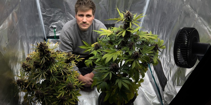 Die Cannabis-Bilanz: Wie viel kiffst du, Deutschland? - Foto: presseportal.de