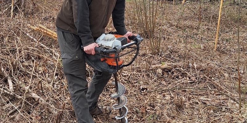 lavera unterstützt private Waldbesitzer / Pflanzprojekt am Stemmer Berg vorerst abgeschlossen - Foto: presseportal.de