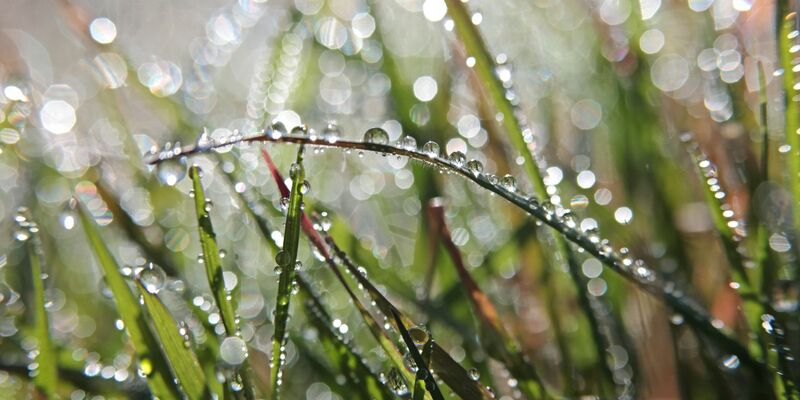 Für das Wochenende ist wechselhaftes Wetter angekündigt. - Foto: Matthias Bein/dpa