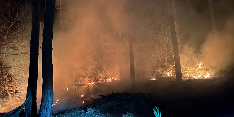 POL-PDLD: Waldbrand - Foto: presseportal.de