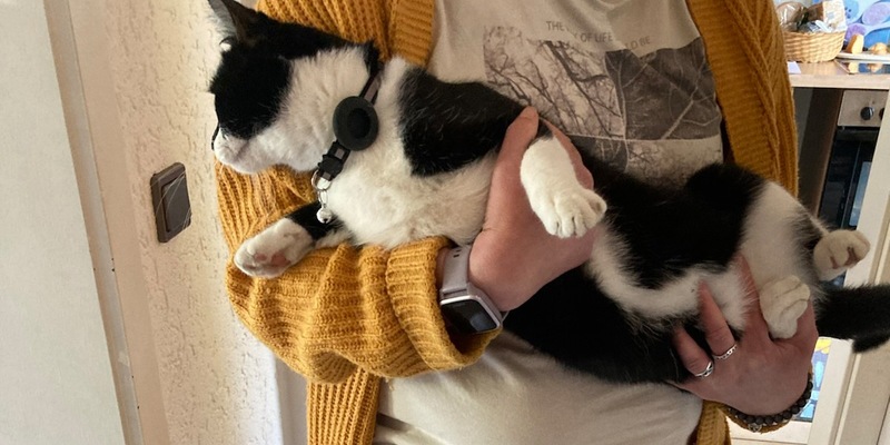 FFW Schwalmtal: Feuerwehr rettet Katze aus Baum - Foto: presseportal.de