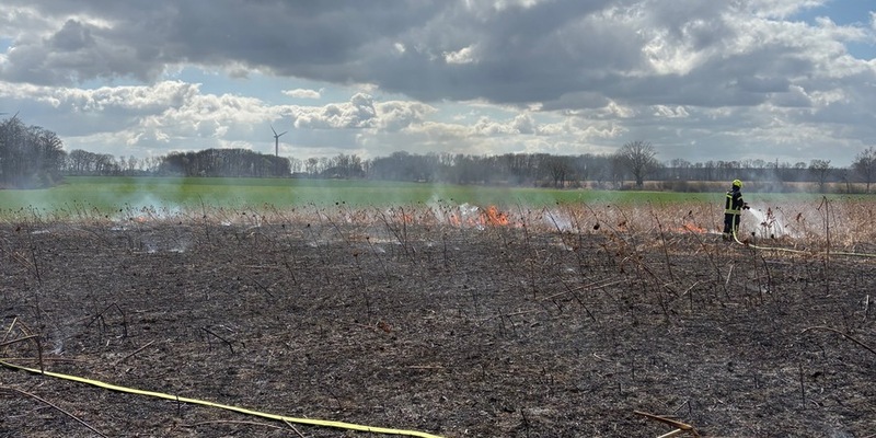 FW-WAF: Brand auf Getreidefeld - Foto: presseportal.de