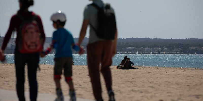 An manchen Stränden Mallorcas hat der Sturm vom Wochenende massenhaft Segelquallen angeschwemmt. Für Menschen sind sie harmlos. Aber sie stinken. (Symbolbild) - Foto: Clara Margais/dpa
