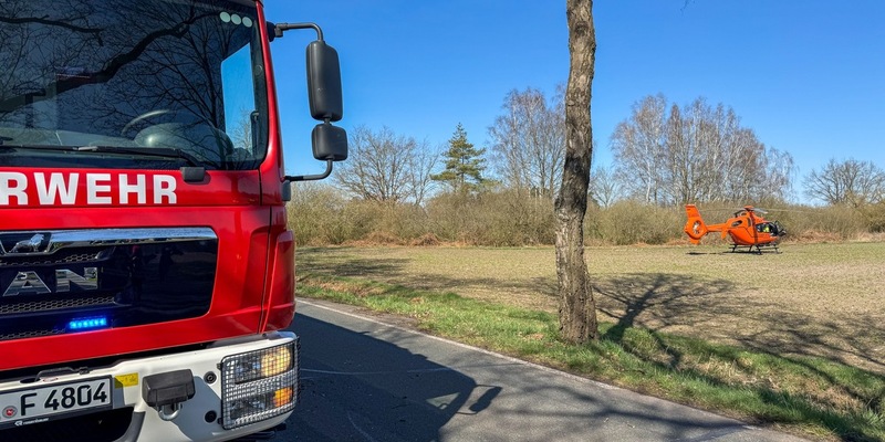 FW Flotwedel: Baumunfall bei Langlingen / Feuerwehr befreit Fahrer aus PKW - Foto: presseportal.de