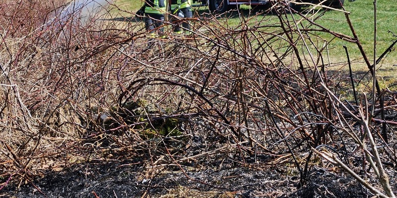 FW Wenden: Frühe Brandgefahr - Vorsicht vor Wald- & Vegetationsbränden in bevorstehenden Sommerhitze - Foto: presseportal.de