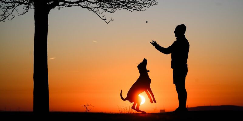 Wie blicken Paare in die Zukunft? Auch darum geht es in der Umfrage. (Symbolbild) - Foto: Julian Stratenschulte/dpa