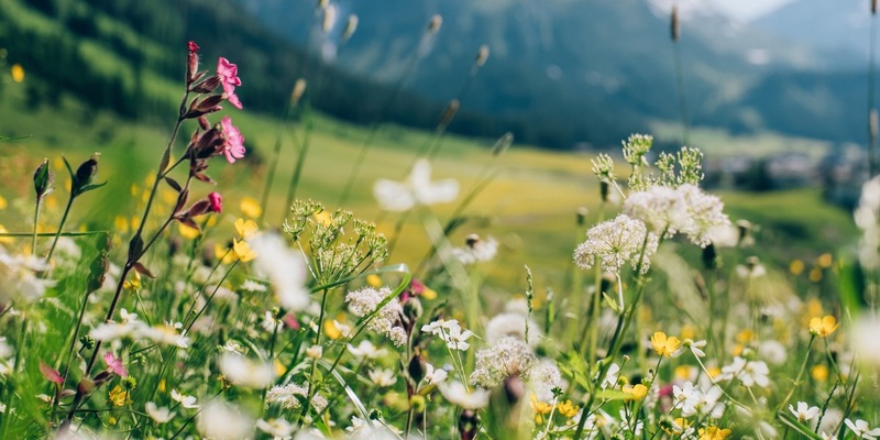Die außergewöhnlichsten Frühlingswanderungen 2025 - Foto: presseportal.de