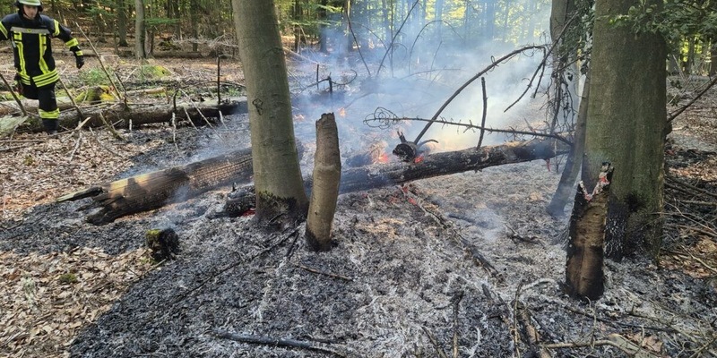 FW Kreis Soest: Wald- und Flächenbrandgefahr jetzt schon hoch - wie kann man vorbeugen? - Foto: presseportal.de