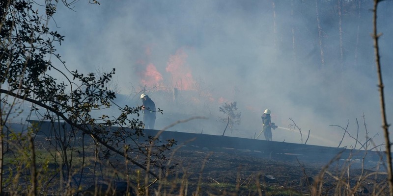 FW-EN: Waldbrand - Foto: presseportal.de