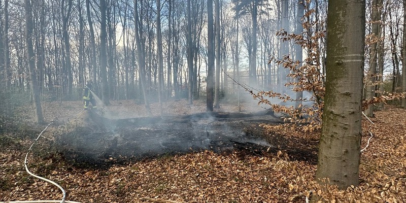 FW-RS: Mehrere Einsätze für die Feuerwehr: Verkehrsunfall und Waldbrand - Foto: presseportal.de