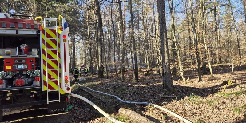 FW Pforzheim: Waldbrand im Bereich Hagenschieß - Eichwald - Foto: presseportal.de