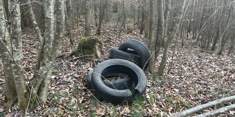 POL-PDTR: Illegale Müllablagerung im Waldgebiet - Foto: presseportal.de
