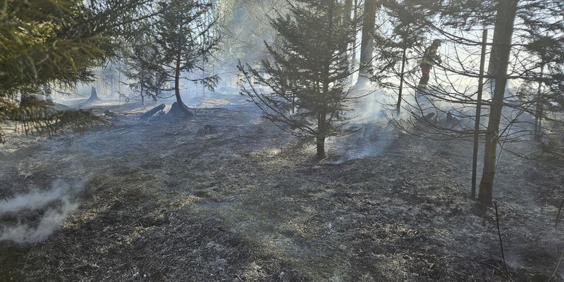 FW-Velbert: Waldbrand in Velbert-Neviges - Foto: presseportal.de