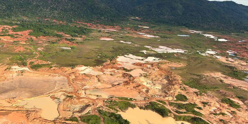 Ich bin sehr besorgt, sagt Raoni Metuktire. - Foto: Philipp Znidar/dpa