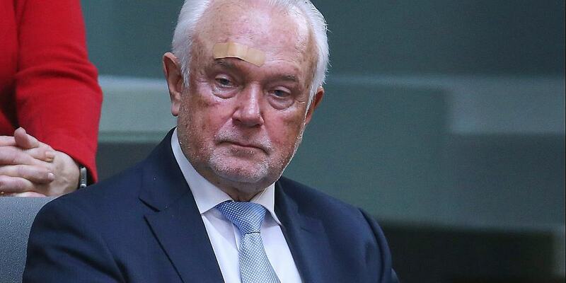 Wolfgang Kubicki (Archiv) - Foto: über dts Nachrichtenagentur