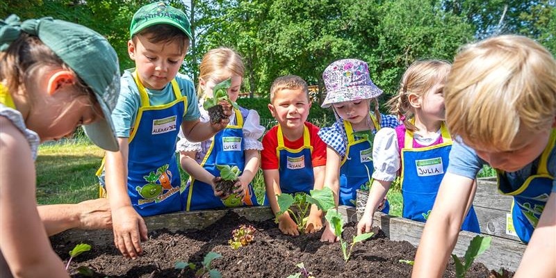 EDEKA Stiftung lässt Kitas aufblühen: 3.100 Gemüsebeete für nachhaltige Ernährungsbildung - Foto: presseportal.de