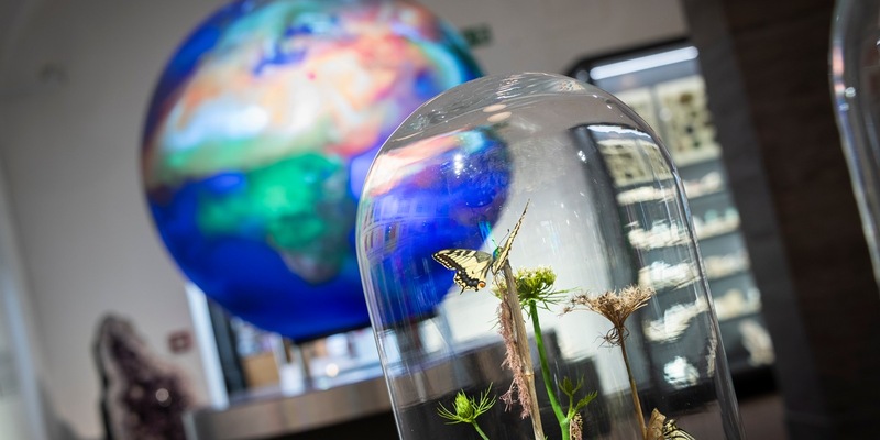 Neueröffnung Wandel / Vom Klimawandel bis hin zu Maria Sibylla Merian - Foto: presseportal.de