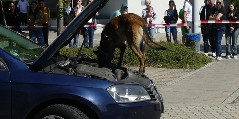 HZA-R: Berufsinformationstag beim Zoll am 26.04.2025 - Das Hauptzollamt Regensburg informiert über Ausbildung und Studium - Foto: presseportal.de