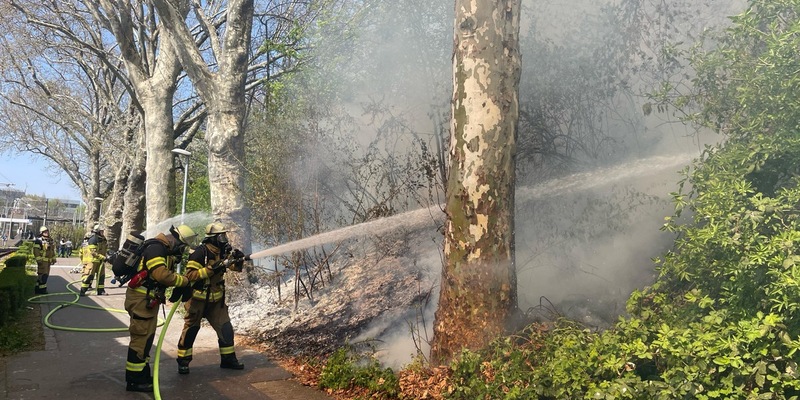 FW Stuttgart: Vegetationsbrand am Bahnhof Untertürkheim führt zu Gleissperrungen - Foto: presseportal.de