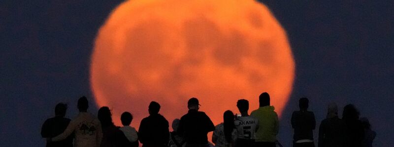 Vollmond über Chicago  - Foto: Charles Rex Arbogast/AP/dpa
