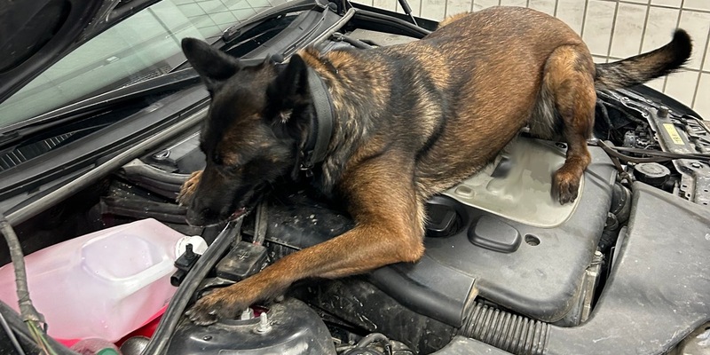 HZA-RO: Zollkontrolle am Irschenberg an der A 8 Richtung Salzburg: Knapp 55 Gramm Crystal versteckt in der Mittelkonsole - Foto: presseportal.de