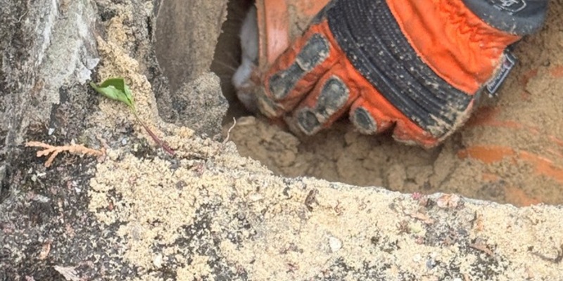 FW-DT: Katze auf Abwegen - Foto: presseportal.de