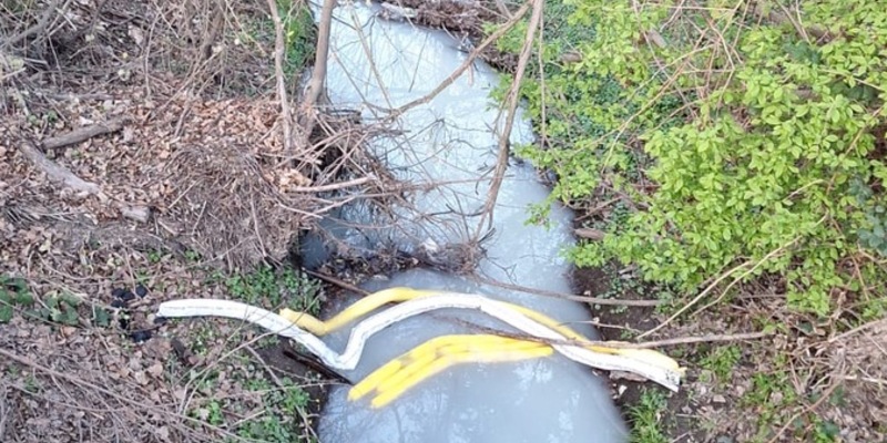 FW Dresden: Verfärbung des Geberbachs - Einsatzkräfte vor Ort - Foto: presseportal.de