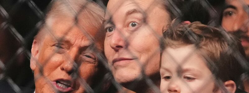 Noch im April zeigten sich Musk und Trump zusammen bei einem Wrestling-Turnier. (Archivbild) - Foto: Lynne Sladky/AP/dpa