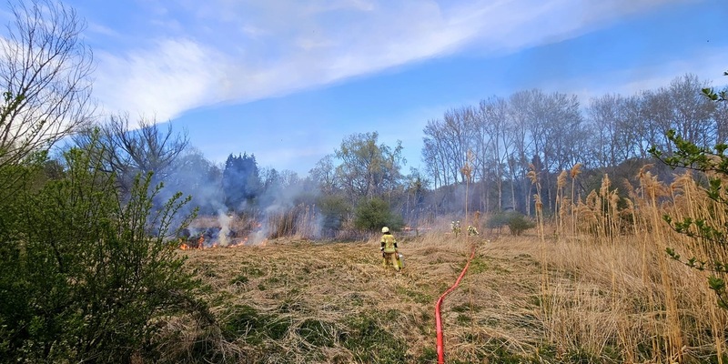 FW Konstanz: Vegetationsbrand - Foto: presseportal.de