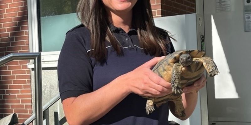 POL-BO: Tierischer Quereinsteiger: Der nimmersatte Schiggi verstärkt die Wache Ost - Foto: presseportal.de