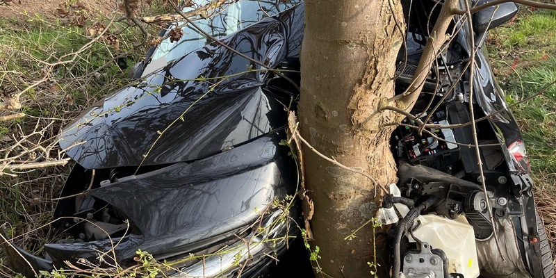 POL-MI: Opel kracht gegen Straßenbaum - Foto: presseportal.de