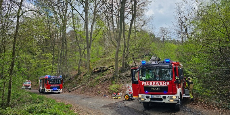 FW Königswinter: Feuer im Wald rechtzeitig entdeckt - Waldbrandgefahr aktuell noch hoch - Foto: presseportal.de