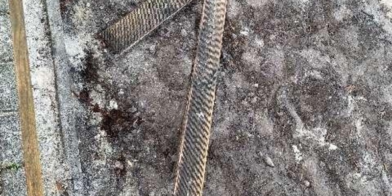 POL-WHV: Sachbeschädigung auf Schulhof in Bockhorn - Foto: presseportal.de