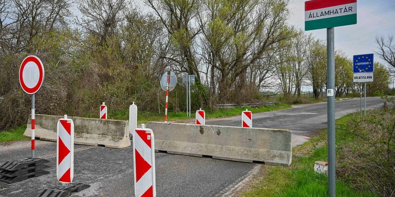 Der Ausbruch der Maul- und Klauenseuche in Ungarn und der Slowakei sorgt in Deutschland für Unsicherheit (Archivbild). - Foto: Csaba Krizsan/MTI/AP/dpa