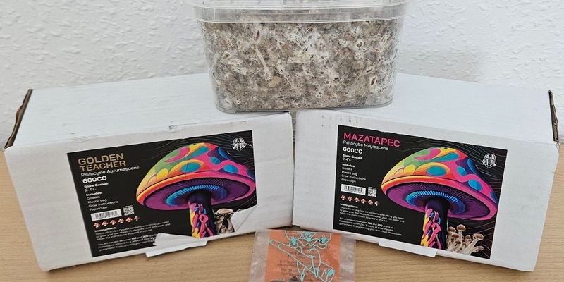 HZA-BI: Mit Zauberpilz-Sets auf A2 unterwegs/Bielefelder Zoll stellt illegale Pilzkulturen sicher - Foto: presseportal.de