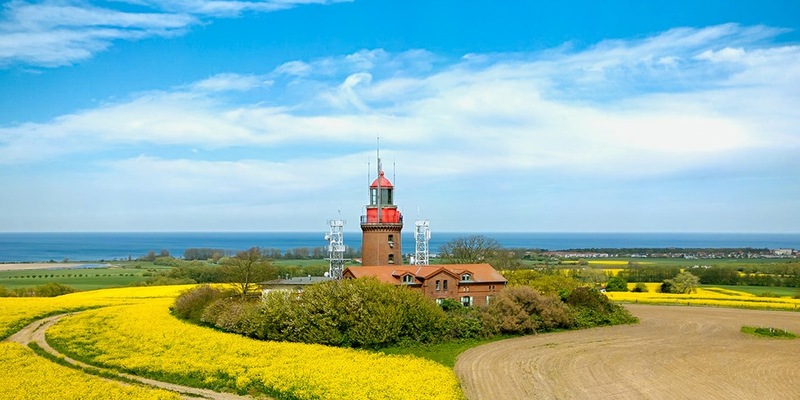 Rapsblüte in Deutschland: Schlüsselkultur der heimischen Landwirtschaft - Foto: presseportal.de