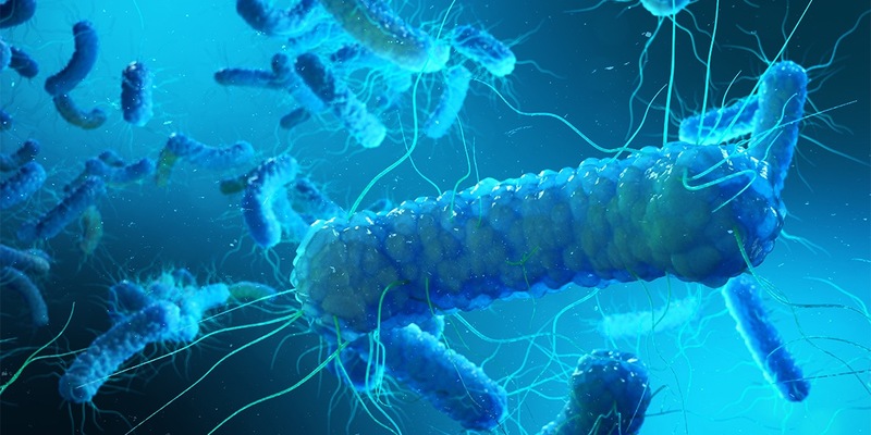 Legionellenrisiko oft unterschätzt: Warum Vermieter aktiv werden müssen / Trinkwasserhygiene in Wohngebäuden - Verantwortung von Vermietern und Eigentümern - Foto: presseportal.de