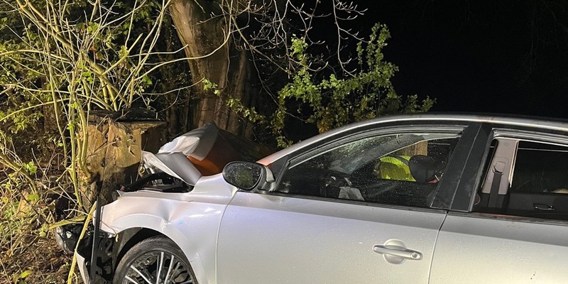 POL-MI: Pkw prallt gegen Baum - vier Verletzte - Foto: presseportal.de