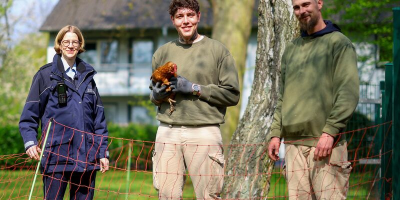 Das Projekt wird zehn Jahre alt - die Zahl der Hühner wächst und wächst - Foto: Christoph Reichwein/dpa