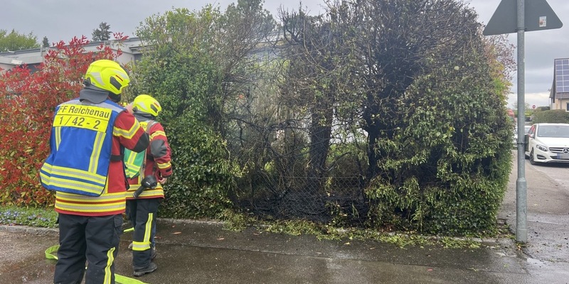 FW Reichenau: Brennende Hecke schnell gelöscht, Reichenau-Mittelzell, 16.04.2025 - Foto: presseportal.de