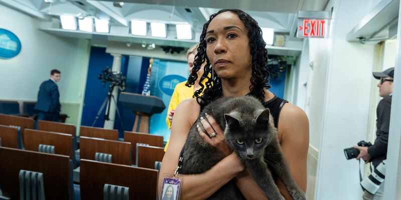 Im Briefing-Raum des Weißen Hauses sind normalerweise keine Katzen unterwegs. - Foto: Alex Brandon/AP/dpa